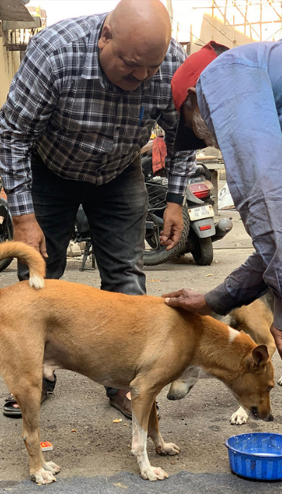 untitled design (25)